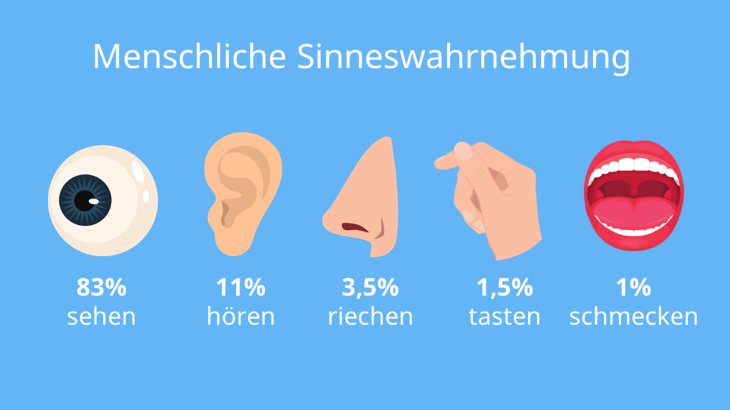 Menschliche Sinneswahrnehung